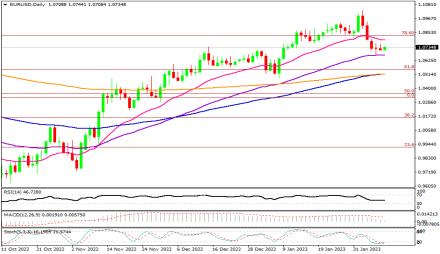 Daily Forex Guide
