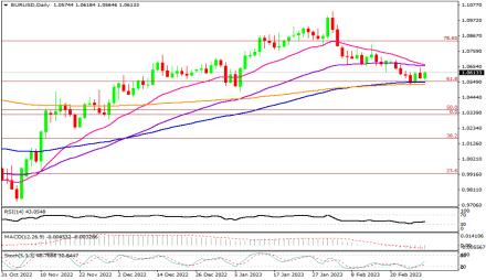Daily Forex Guide