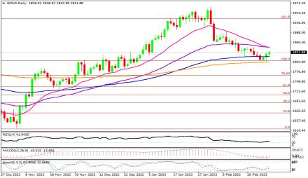 Daily Forex Guide