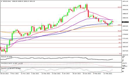 Daily Forex Guide