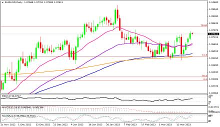 Daily Forex Guide