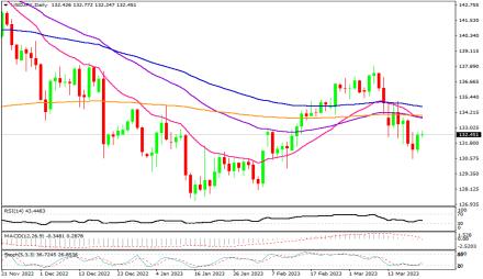 Daily Forex Guide