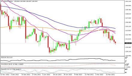 Daily Forex Guide