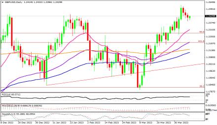 Daily Forex Guide