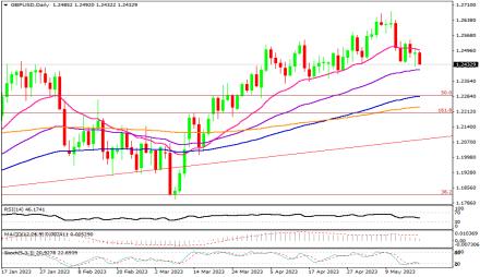 Daily Forex Guide