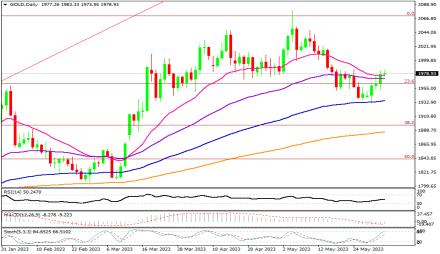 Daily Forex Guide