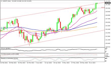 Daily Forex Guide