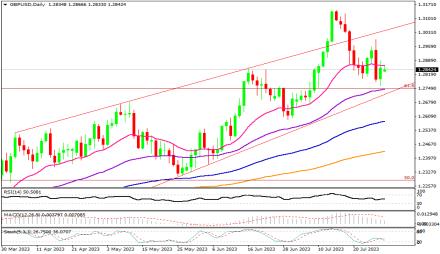 Daily Forex Guide