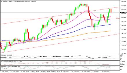 Daily Forex Guide