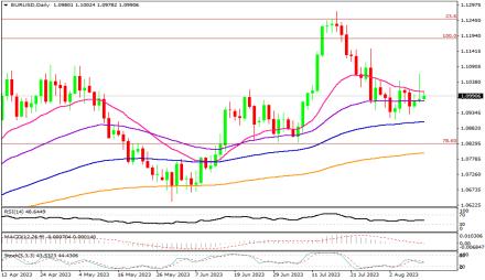 Daily Forex Guide