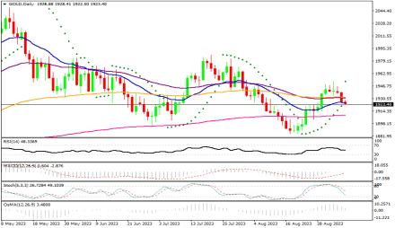 Daily Forex Guide
