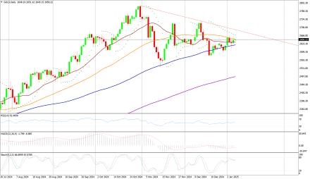 Daily Forex Guide