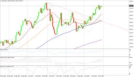 Daily Forex Guide