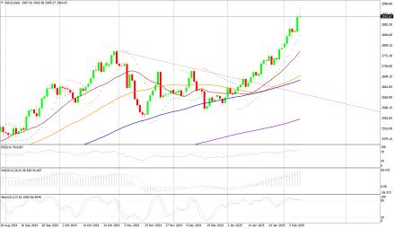 Daily Forex Guide