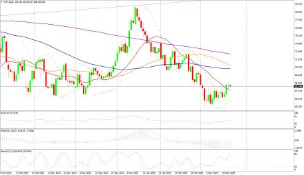 Daily Forex Guide
