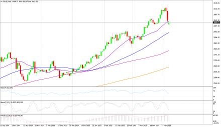 Daily Forex Guide