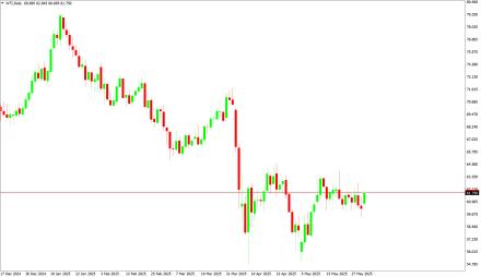 Daily Forex Guide