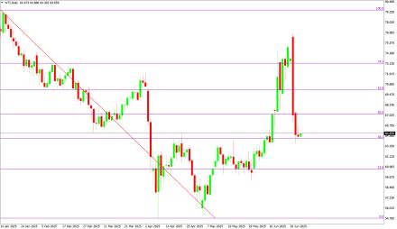 Daily Forex Guide