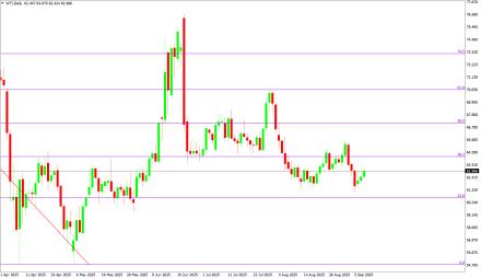 Daily Forex Guide