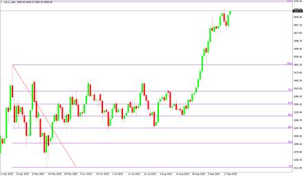 Daily Forex Guide